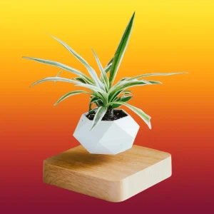Trendy Creations Floating Plant Pot Only – White